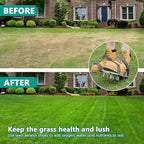 Lawn Aerator Shoes for Grass - Pre-Assembled Grass Aerator Shoes for Lawn - Soil Yard Aerator Tool for Aerating Patio Garden, Gray, Medium Size