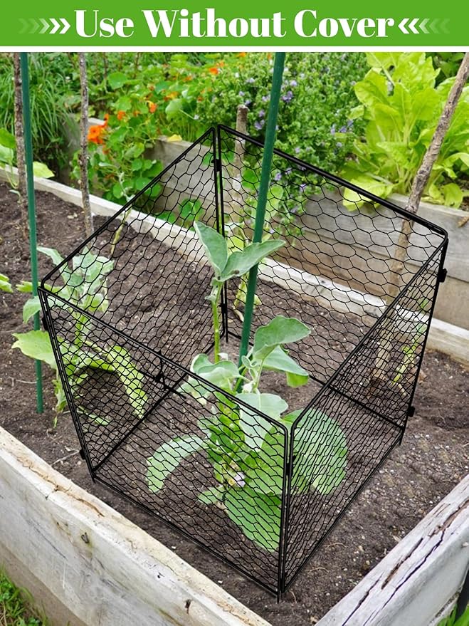 Kalolary 5 Packs Plant Protectors with Cover from Animals, 20''Large Square Wire Plant Cage Metal Garden Plant Protection Chicken Wire Cloche for Plant Flowers Vegetable (20'' x12.6''x 12'')