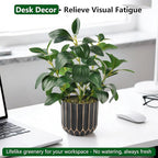 florisso Artificial Succulents with Fig Leaf Greenery in Black & Gold Planter, Fake Succulents Potted Decor for Farmhouse, Bathroom, Bedroom, Kitchen, Office Desk and Coffee Table (Black Gold)