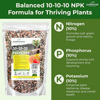 Gardenwise 10-10-10 All-Purpose Professional Fertilizer Plant Food for Indoor/Outdoor Gardening; Premium Shrub, Tree, Flower, Vegetable and Lawn Fertilizer; Quick-Release Nitrogen (10 QUARTS)
