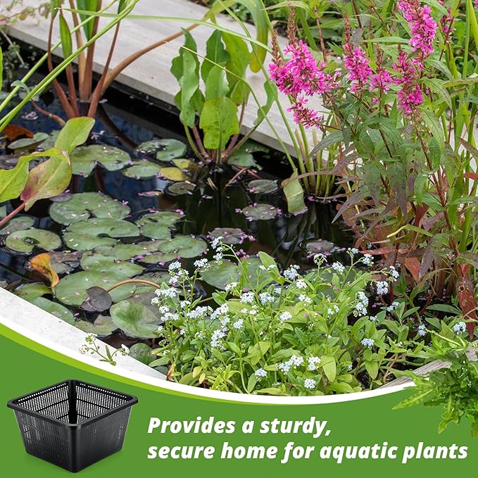 16 Pcs Aquatic Plant Baskets for Hydroponics Water Plant Pots Black Plastic Mesh Basket 9 x 9 x 5.2 Inch Square Pond Containers for Island Live Aquarium Botany Flowers