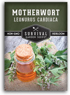 Motherwort Seeds for Planting - Plant & Grow Lion's Tail Medicinal Herbs in Your Home Herb Garden - Non-GMO Heirloom Variety - Survival Garden Seeds