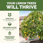 Lemon Tree Fertilizer – Liquid Plant Food for More Fruit, Better Flowering & Stronger Root Development, 32 oz