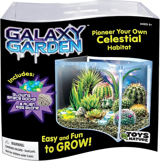 Toys By Nature Galaxy Garden, Wave Terrarium Kit with Live Cactus Plants, Succulents & Alien Egg Stone - Beginner-Friendly Terrariums and Live Indoor Plants Décor
