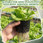 Weysat 16 Pcs Aquatic Plant Pots 6 Inch Round Pond Plant Baskets Net Pots for hydroponics Black Plastic Mesh Pond Containers for Hydroponics Live Aquarium Flowers