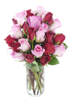 KaBloom - Long Stemmed Red and Pink Roses (Two Dozen) with Vase - Fresh Flowers for Birthday, Valentine's & Mother's Day