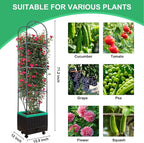 Yhtpouqe Raised Garden Bed with Self Watering Garden Pots, Planter Box with Trellis for Climbing Plants Vegetable Vine Flowers, Tomato Cage Planter for Indoor Outdoor Yard Greenhouse Use