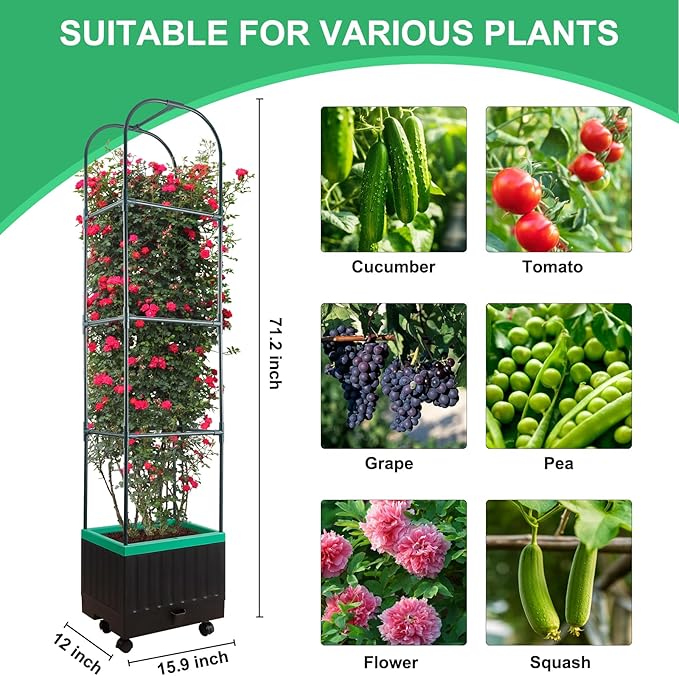 Yhtpouqe Raised Garden Bed with Self Watering Garden Pots, Planter Box with Trellis for Climbing Plants Vegetable Vine Flowers, Tomato Cage Planter for Indoor Outdoor Yard Greenhouse Use