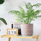 8 Inch + 6 Inch Plant Pot with Drainage Holes and Saucers, Indoor Ceramic Planter for Plants Succulent Orchid Flower Pots
