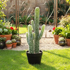 Nafresh UV-Resistant Artificial Fake Cactus Plants 23in – 2 Pack Large Faux Cowboy Cactus for Indoor & Outdoor Home, Office, or Garden Decor