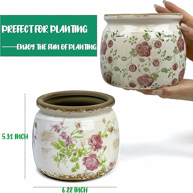 Dosayes Flower Pot,Vintage Ceramic Pot for Planter with Drainage Holes, 6.29 inch Ice Crack Glazed Indoor Planters Pot for Indoor,Tuscan Home Decor,Gardening Gifts (Garden)