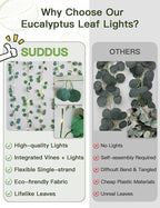 suddus Vines with Lights Battery Operated, 33ft 100 LED Eucalyptus Garland String Lights with Remote, Leaf Lights for Bedroom, Room, Wall, Garden, Party, Wedding Decor (Warm White)