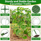 Cucumber Trellis for Raised Bed, 66''x48'' U-Shape Garden Trellis for Climbing Plants Outdoor, Metal Arch Plant Support, Vegetables Trellis for Squash Grape Pea Bean Vines Flower