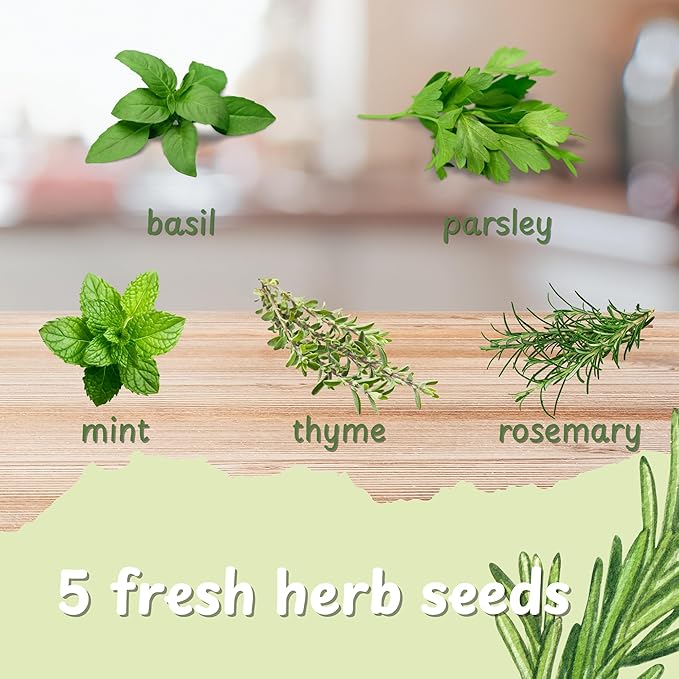 Herb Indoor Garden Kit- Unique Chrismas Herb Gardening Gift, Home Kitchen Gift for Mom, Friends, and Gardeners (Basil, Parsley, Mint, Thyme, Rosemary)