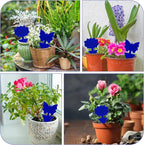 Fruit Fly Traps, 100 Pack Blue Sticky Traps, Fungus Gnat Traps, Plant Fly Stickers for Indoor and Outdoor Use Protect The Plant