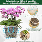 12 Pack Plastic Orchid Pots with Holes,5 Sizes 3, 4, 5, 6,7 Inch Clear Orchid Pots for Repotting with Saucers Drainage and Plant Stakes, Large Small Breathable Orchids Planter Plant Pot