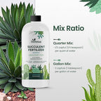 16oz Succulent Fertilizer - Makes 32 Gallons of Succulent Plant Food for Succulents Plants Live, Liquid Fertilizer for Succulents - Promotes Vibrant Leaves, Resilient Roots, and Plump Growth