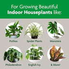 Miracle-Gro Indoor Potting Mix, Blended for a Variety of Houseplants, Feeds for up to 6 Months, 6 qt., 3-Pack