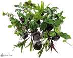 Josh's Frogs Dart Frog Vivarium Bioactive Plant Kits (40-55 Gallon)