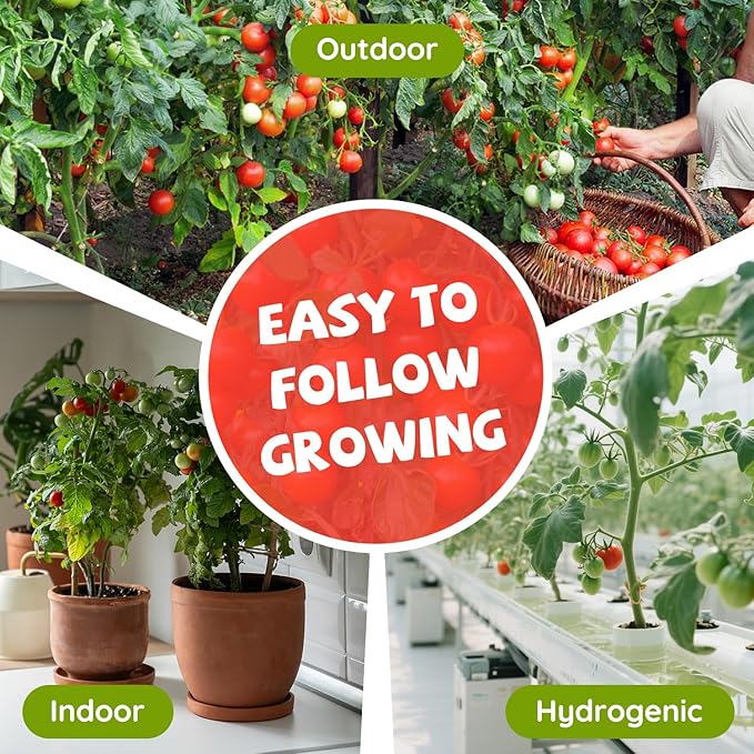 10 Heirloom Tomato Seed Varieties Packet - Non-GMO, Open Pollinated Seeds for Planting Home Garden - Beefsteak, Roma, San Marzano, Cherokee Purple, Cherry Tomato & More