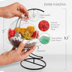 Creations by Nathalie - 5" Glass Globe Succulent Terrarium Kit, Hanging DIY Starter Kit for Kids and Adult, Metal Stand, Reindeer Moss, Crystal & Rocks, Tools, Figurine (Live Plant Included)