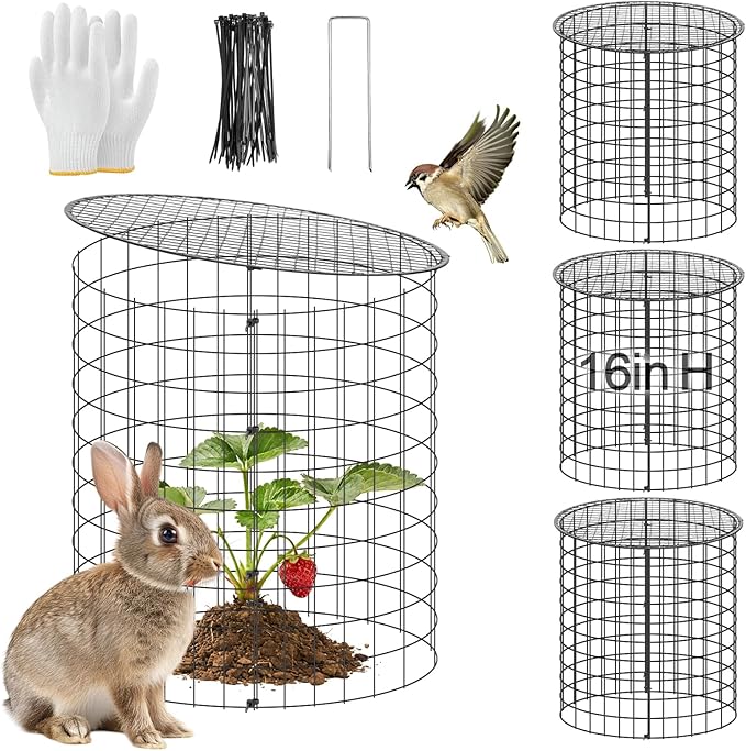 16''H x 11''Dia Plant Protectors from Animals - Full-Protection Anti-Rust Plant Cages with Covers for Outdoor Plants, Wire Garden Cloches for Plants Strawberry Keeping Chicken Rabbits Out, 4 Sets