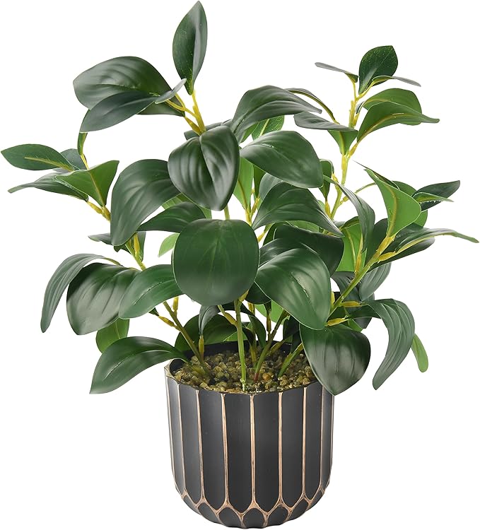 florisso Artificial Succulents with Fig Leaf Greenery in Black & Gold Planter, Fake Succulents Potted Decor for Farmhouse, Bathroom, Bedroom, Kitchen, Office Desk and Coffee Table (Black Gold)