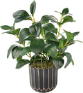 florisso Artificial Succulents with Fig Leaf Greenery in Black & Gold Planter, Fake Succulents Potted Decor for Farmhouse, Bathroom, Bedroom, Kitchen, Office Desk and Coffee Table (Black Gold)