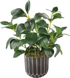 florisso Artificial Succulents with Fig Leaf Greenery in Black & Gold Planter, Fake Succulents Potted Decor for Farmhouse, Bathroom, Bedroom, Kitchen, Office Desk and Coffee Table (Black Gold)