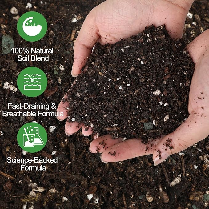All-Natural Christmas Cactus Potting Soil Mix 4qt- Premium Well-Draining & Aerated ，Designed Specifically for Succulents and Cacti