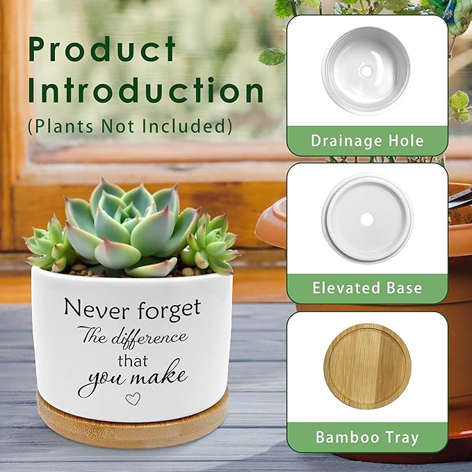 Coworkers Leaving Gifts Plant Pots, Boss Appreciation Gifts Succulent Planters, Never Forget The Difference You Make Ceramic Plant Flower Pots for Home Office Desk Table Shelf(No Plants)