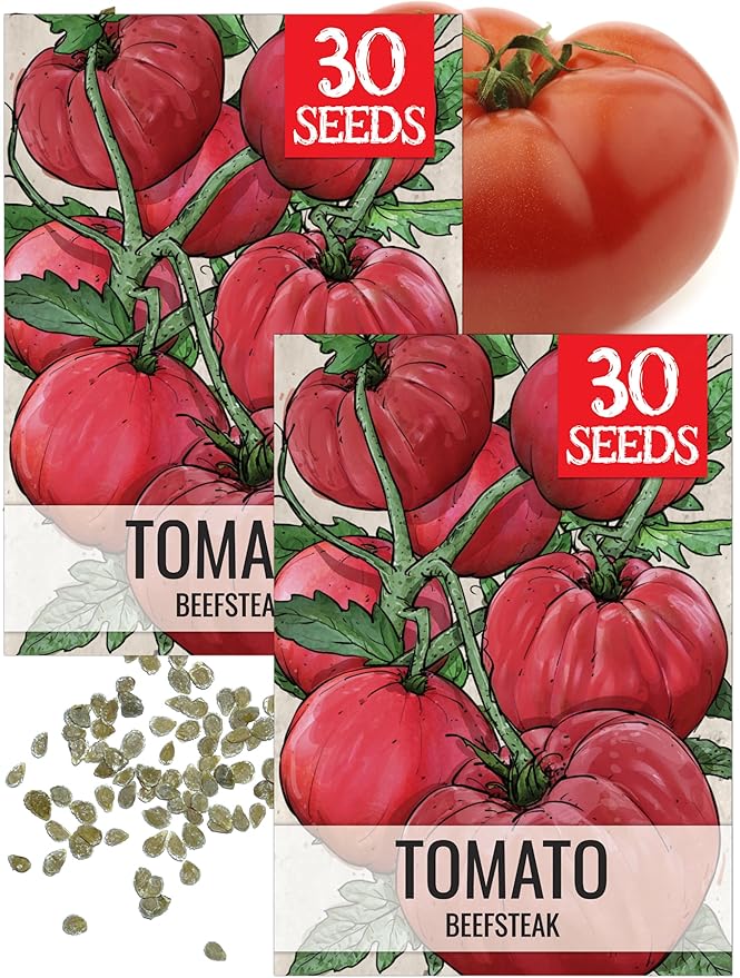 Seed Needs Beefsteak Tomato Seeds for Planting Indeterminate Tomatoes - Non-GMO Heirloom & Untreated Vegetable Seed to Plant a Home Grown Outdoor Veggie Garden (2 Packs)