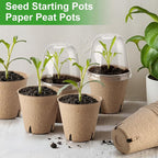 Baxrou 36 Set 3.15 Inch Peat Pots Plant Starters for Seedling with Humidity Dome,Herb Seed Starter Pots Kits, Garden Germination Nursery Pot wit 36 Plant Labels, 2 Transplant Tools.