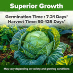 HOME GROWN Cabbage Seeds 7 Variety Mix 2000+ Heirloom Non-GMO, High Germination, Bok Choy, Red & Green Acre, Savoy, Napa Michihili, Copenhagen Market, Jersey Wakefield, Cold Hardy
