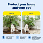 PetSafe SSSCAT Refill Can for Motion Activated Automatic Spray Pet Deterrent for Cats and Dogs, Pack of 3