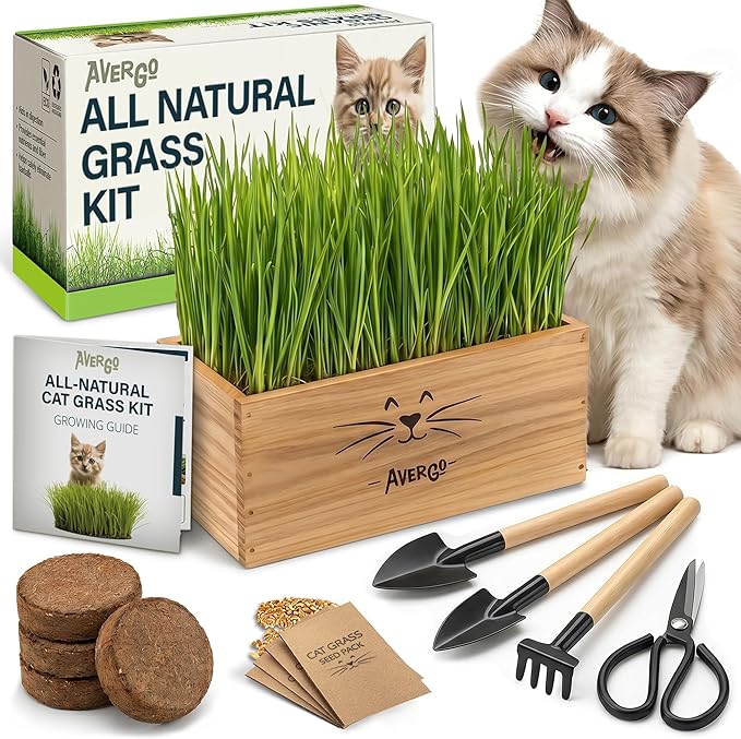 Cat Grass Kit for Indoor Cats – x4 Seed Packets | Cat Grass Seeds with Wooden Planter, Soil & Mini Gardening Tools for Nipping & Nibbling – Pet Wheatgrass Grass