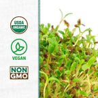 Back to the Roots 100% Organic Alfalfa Seeds | 1 Pound Non-GMO | Nutrient Dense, Easy to Grow, Rich in Fiber