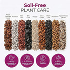 Molly's Orchid Potting Mix - Premium Gritty Soilless Orchid Mix - Chunky High Drainage vs Standard Potting Soil for Indoor Plants - Contains Bark, Coco Chips, Akadama, Pumice, Lava Rock 3 Dry Quarts