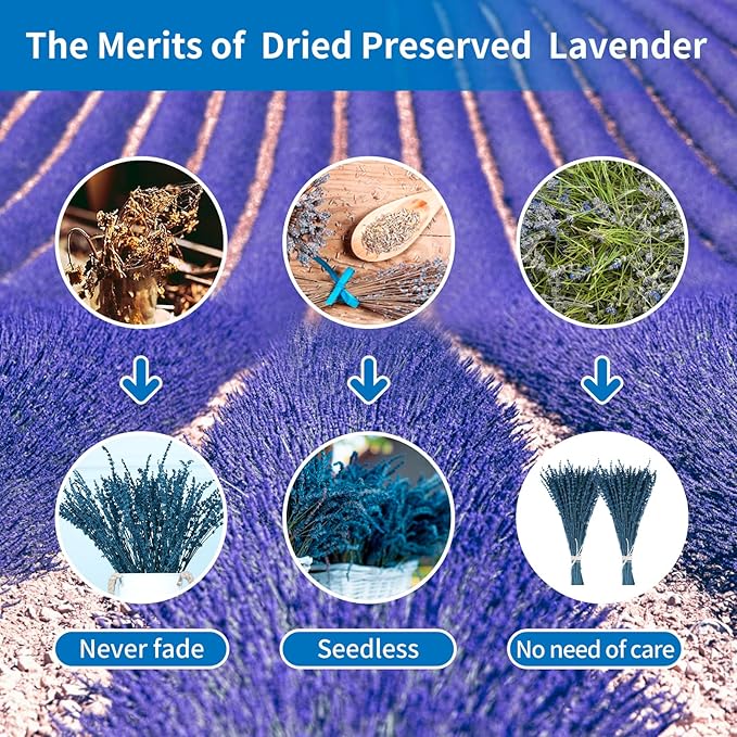 Dried Preserved Lavender Flowers Bundle, 100% Natural Dried Lavender Bouquet 180-200 Stems 15-17" for Crafts, Shower, Weeding and Home Decor, Aromatherapy, Fragrance, Fresh, Dry (Blue-2.82oz)