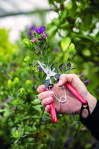 FELCO F-2 Classic Hand Pruner and FELCO 322 Snips
