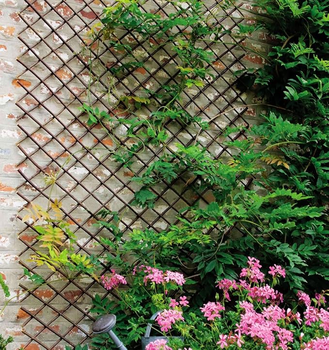 Expandable Garden Trellis Plant Support Willow Lattice Fence Panel for Climbing Plants Vine Ivy Rose Cucumbers Clematis 36X92 Inch