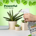 Mighty Mint Neem Oil & Peppermint Plant Nutrient Spray – Natural Leaf Shine for Indoor & Outdoor Use – Plant-Based Formula for Stronger, Healthy Plants - 16 oz (Pack of 2)