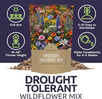 Drought Tolerant Wildflowers Mix – Bulk Quarter Pound Bag – Over 30,000 Open Pollinated Non-GMO Seeds – 21 Different Dryland Species