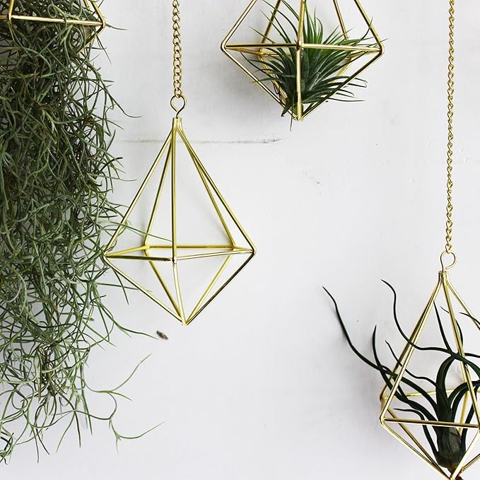 ZOOELAY Air Plants Live Holders 6 Pcs Glod Diamond Hanging Planter Small Air Plant Holders Unique with Chains Air Ferns Tillandsia Display for Indoor