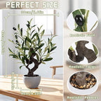 TOARTi Artificial Olive Tree Potted Plant with Stone Pot, 19" Tall Japanese Bonsai Tree Faux Plants Desk Plant, Realistic Greenery Decor for for Home Bedroom Bathroom Office Desk