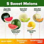 HOME GROWN Melon Seeds 5 Variety Mix 115+ Heirloom Non-GMO, High Germination, Watermelon Sugar Baby, Cantaloupe, Honeydew, Sweet & Juicy Summer Fruit, Indoor Outdoor Garden (Cucumis melo/Citrullus)