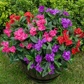 Nigirior Artificial Fake Flowers for Outdoor Décor 6 Bundles UV Resistant Fake Plants for Planter Faux Impatiens for Home Porch/Garden Stunning（Red/Rose Red/Purple）