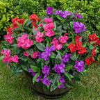 Nigirior Artificial Fake Flowers for Outdoor Décor 6 Bundles UV Resistant Fake Plants for Planter Faux Impatiens for Home Porch/Garden Stunning（Red/Rose Red/Purple）