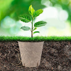 BEWBBAT 100 Pack Peat Pots for Seedlings, 3.15 Inch Plant Starter Cups with Drainage Holes, Garden Germination Nursery Pots with 30 Plant Labels, 2 Transplant Tools for Herb, Vegetables, Plants