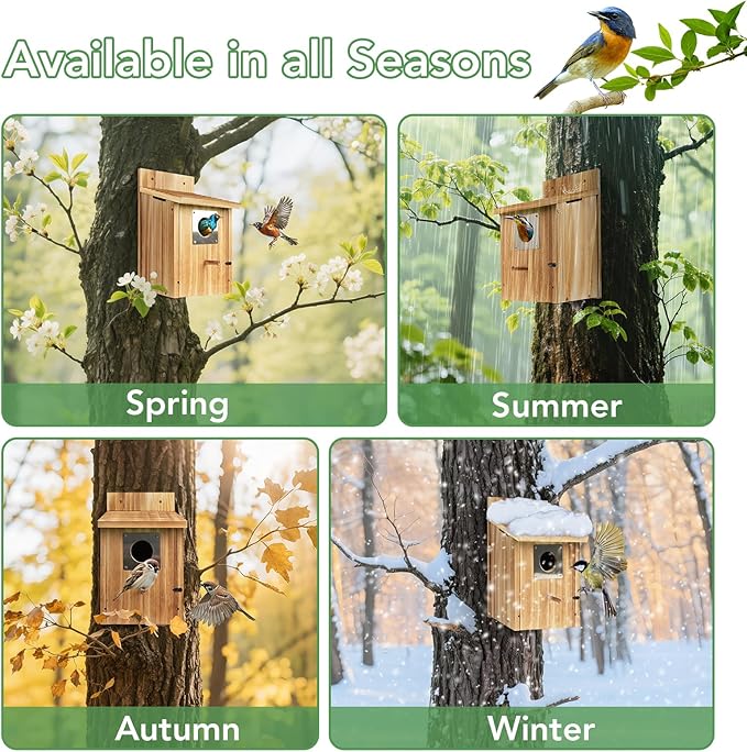 2 Pack Bird Houses for Outside - Cedar Bluebird Houses with Metal Predator Guard, Birdhouse for Wren Bluebirds Finches Swallows, Carbonized Wooden (Assembly Required)